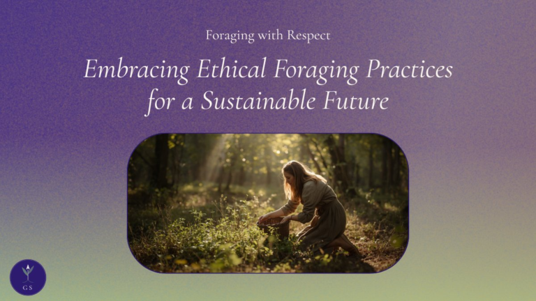 Sustainable foraging wildcrafting ethics blog graphic